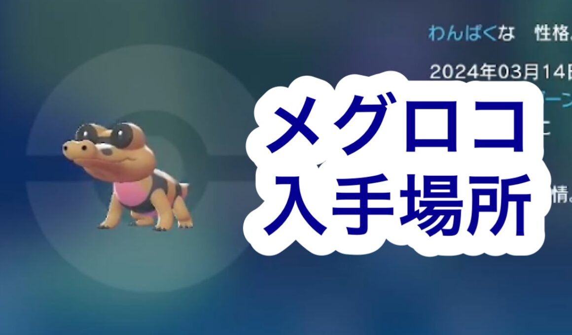 【ポケモンZA】メグロコ入手場所
