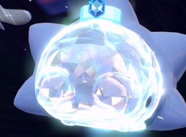 【Switch2】ユキハミを使ってみた❄️