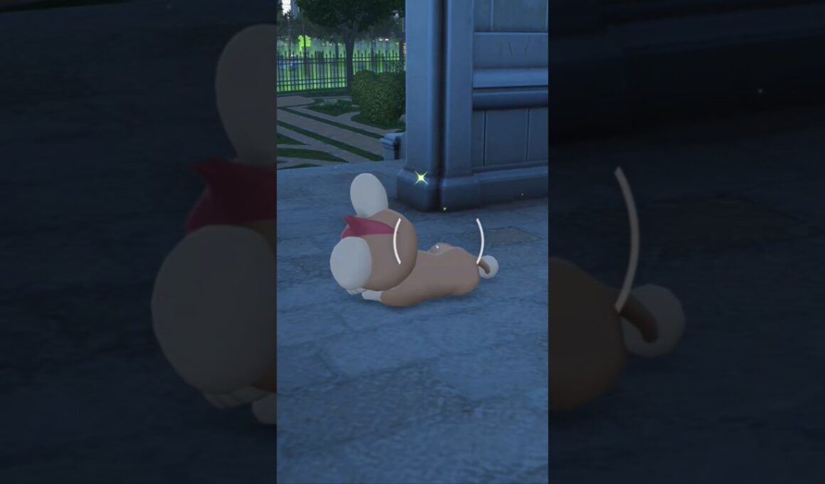 ZA初めての色違いはシシコ！しかも親分【ポケモンレジェンズZA】#ポケモンza #pokemon #色違い #shorts #pokemonlegendsza