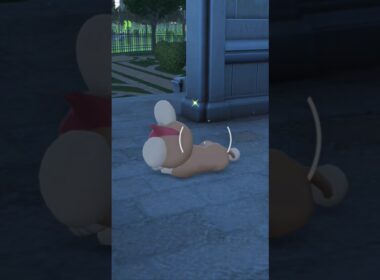 ZA初めての色違いはシシコ！しかも親分【ポケモンレジェンズZA】#ポケモンza #pokemon #色違い #shorts #pokemonlegendsza