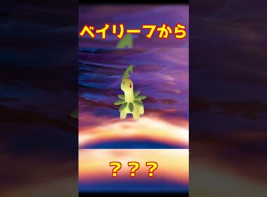 ベイリーフ進化 #ポケモンza #shorts