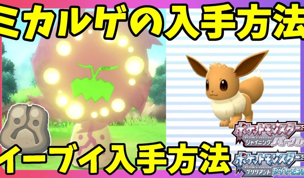 ミカルゲとイーブイの入手方法と出現イベントの条件について【ポケモンBDSP　ポケモンブリリアントダイヤモンド】