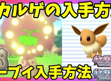 ミカルゲとイーブイの入手方法と出現イベントの条件について【ポケモンBDSP　ポケモンブリリアントダイヤモンド】