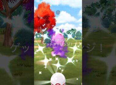 ✨色違いシャドウソーナンス現る😱😱#ポケモンgo #pokemongo #pokemongoshorts
