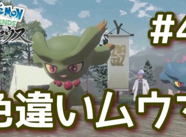【#4】天眼の山麓で色違いムウマとの出会い！さらに謎は深まる大大大発生を調査！！【PokémonLEGENDSアルセウス】
