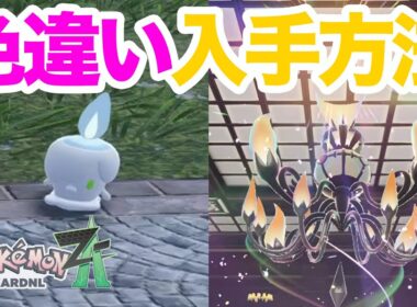 【ポケモンZA】超簡単！色違いヒトモシの入手方法を解説！メガシャンデラに進化させてバトルで使おう！