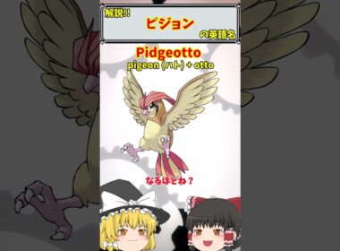 【英語でポケモン】No.017 ピジョン【海外ポケモン】 #ポケモン #ポケモンゆっくり解説 #ポケモン解説 #海外 #英語 #toeic