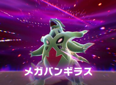 Pokémon LEGENDS Z-A M次元ラッシュ（ポケモン レジェンズ ゼットエー） 5