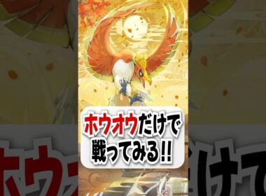 【検証】新ホウオウだけ勝てるのか試してみた！ #ポケポケ #ポケカ #ポケモン