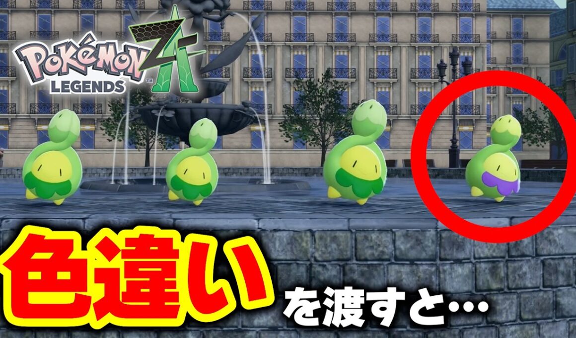 【検証】スボミー品評会に『色違い』を持って行った結果が衝撃だった…！【ポケモンZA／レジェンズZA】