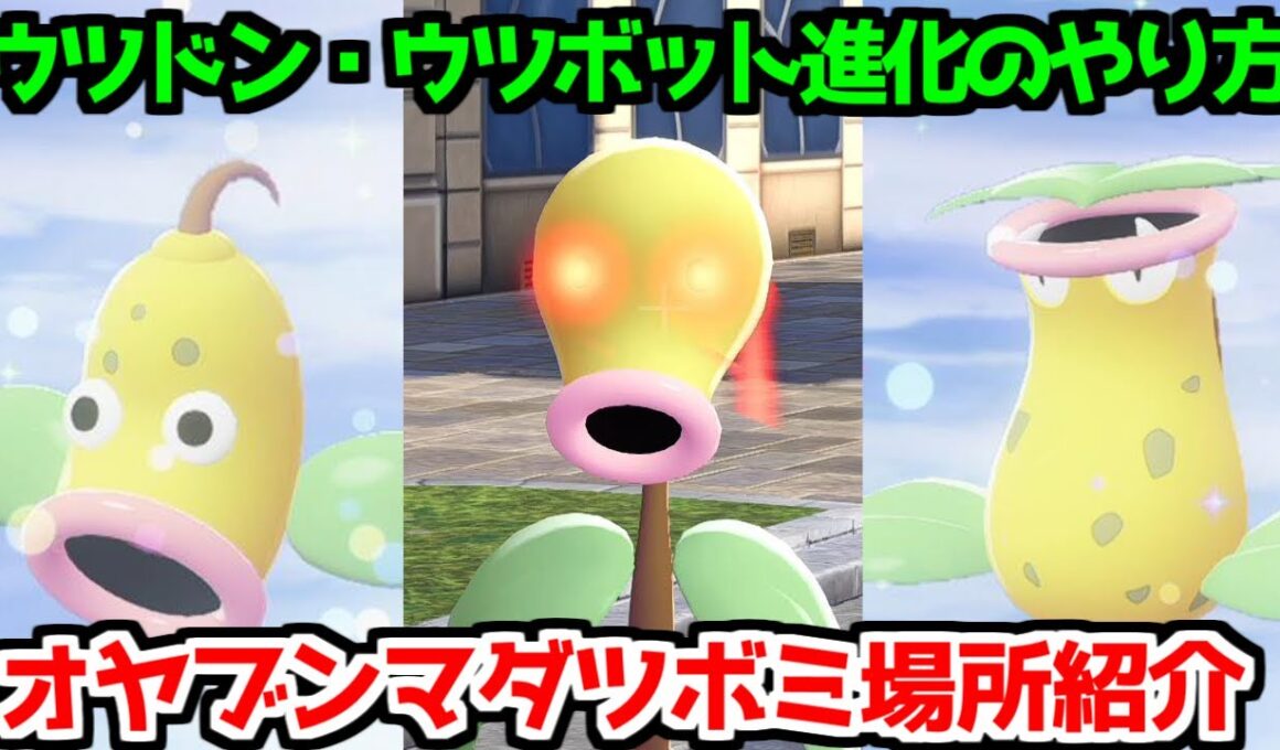 【ポケモンZA】リーフのいし オヤブン マダツボミ ウツドン ウツボット 出現場所 入手方法 進化方法 攻略 【Pokémon LEGENDS ジガルデ ポケモン レジェンズ ジガルデ】