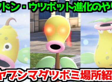 【ポケモンZA】リーフのいし オヤブン マダツボミ ウツドン ウツボット 出現場所 入手方法 進化方法 攻略 【Pokémon LEGENDS ジガルデ ポケモン レジェンズ ジガルデ】