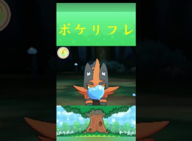 ポケモン ニャヒート ポケリフレ ポケパルレ #ポケモン #Pokemon  #3DS #ポケモン技 #ポケモンsv #ポケモン#キャンプ #カレー #サンドイッチ #ピクニック