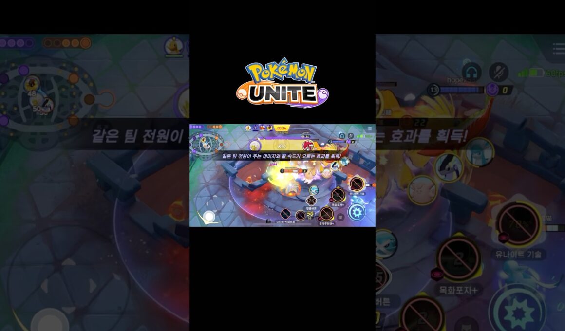 칠색조의 부활이 헛되지 않기를…★