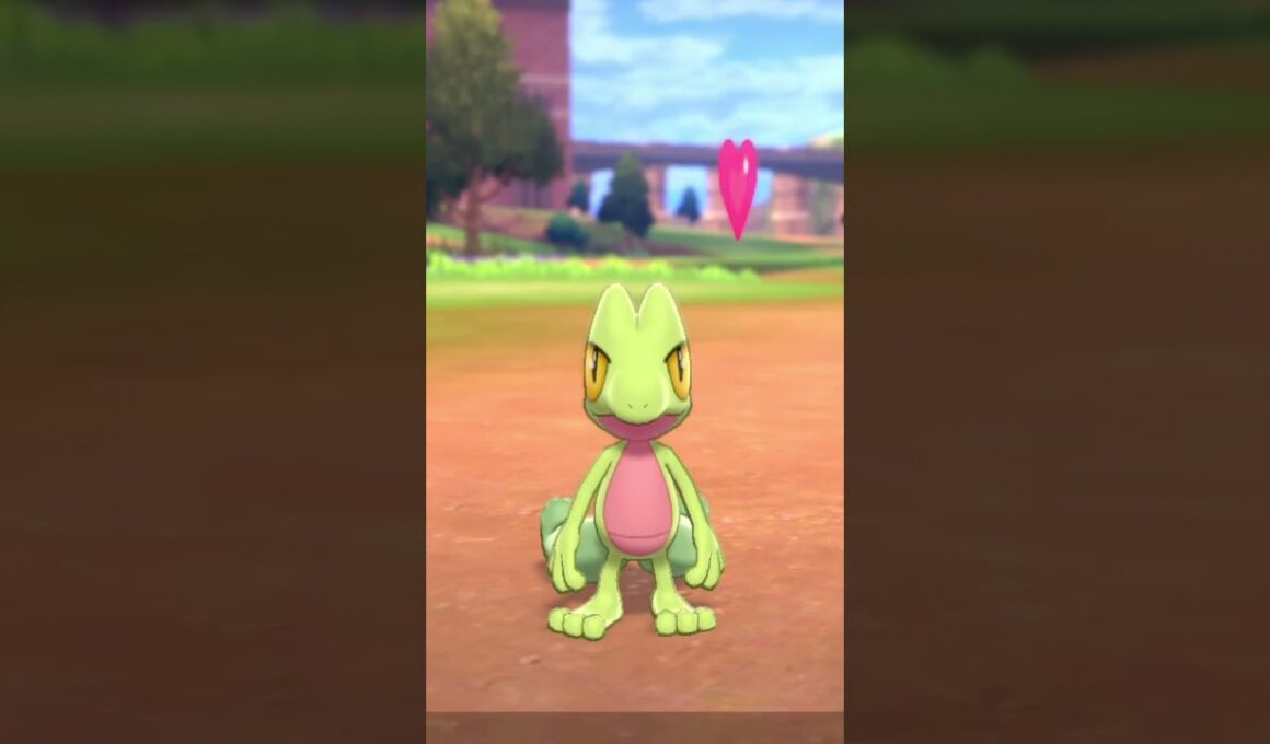 キモリ Treecko【ポケモン剣盾】