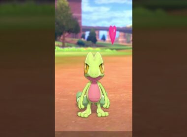 キモリ Treecko【ポケモン剣盾】