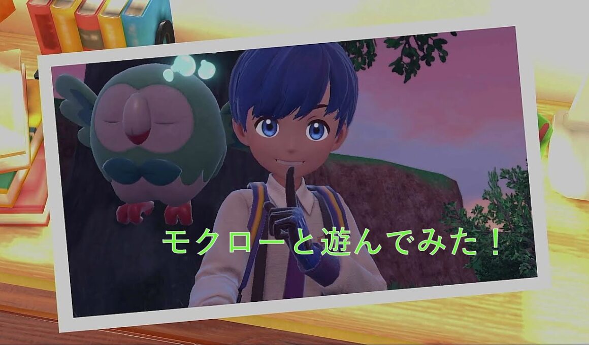 モクローと遊んでみた！