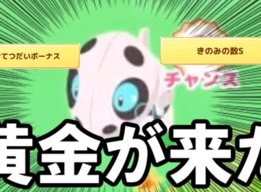 神のココドラに出会いました。【ポケモンスリープ】