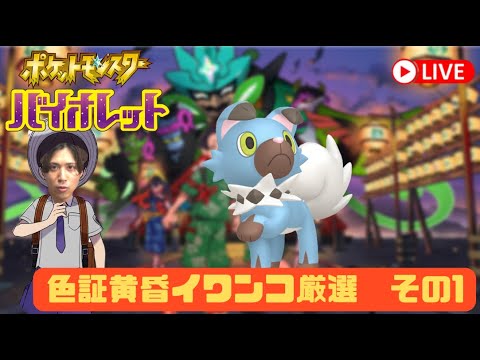 【ポケモンSV】マイペースのイワンコの色違い捕まえられるようになったらしい