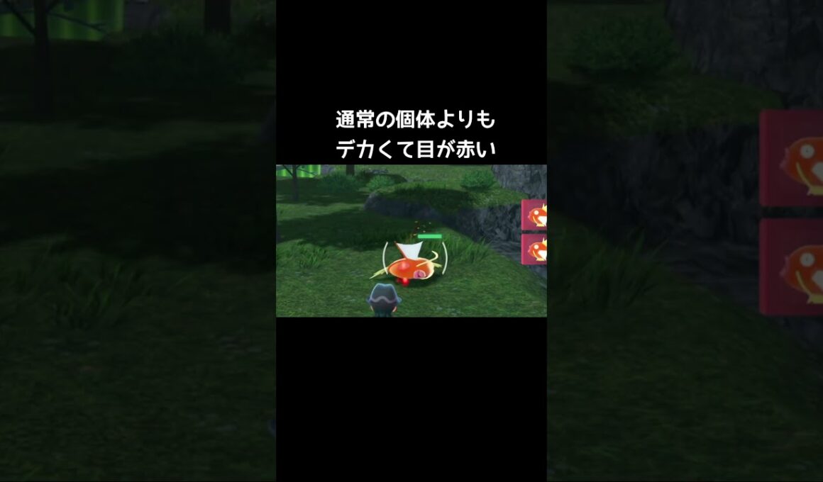 オヤブンコイキングの小ネタ【ポケモンZA】