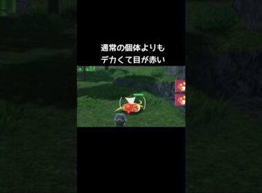 オヤブンコイキングの小ネタ【ポケモンZA】