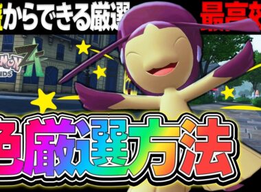 【超絶効率】序盤からできる!! クチートの "色違い厳選" はこれが最高効率です【ポケモンZA】【レジェンズZA】