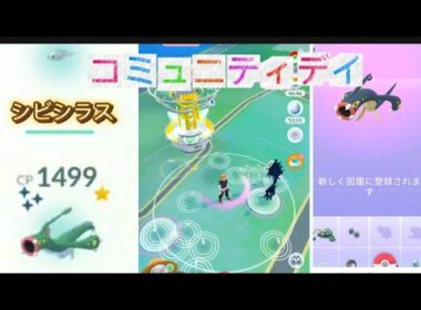 シビシラスコミュニティデイ#ポケモンgo #コミュニティデイ #シビシラス