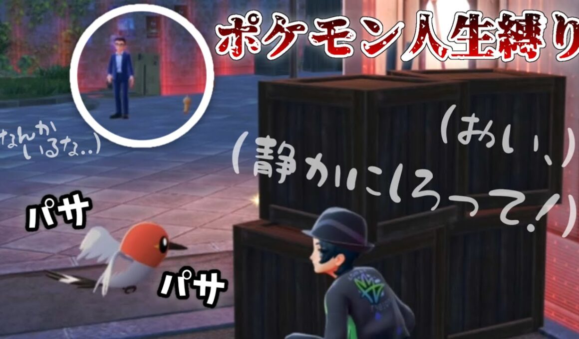 【ポケモン人生縛り】落ち着きのないヤヤコマのせいですぐに終わるかくれんぼ【Pokémon LEGENDS Z-A】