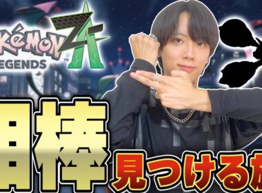 【Part2】Pokémon LEGENDS Z-Aやるぞおおおおおお！！！メガメタグロス来い！！！！