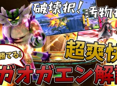 【スマブラSP】今日勝てる！ジーク的ガオガエン解説！！【ゆっくり解説？】