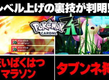 【ポケモンZA】レベル上げの裏技！公式想定外の最高効率が見つかるｗ【レジェンズZA】
