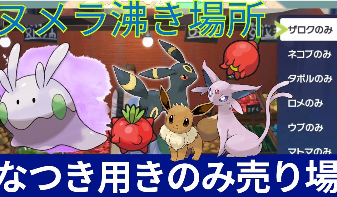 【#ポケモンZA】MAPに表示されない店！イーブイのなつきに必要なきのみ売り場＆スパイス、ヌメラヌメルゴンの場所、おすすめメガカケラ回収【御三家色違い実況】ブラッキーエーフィ―