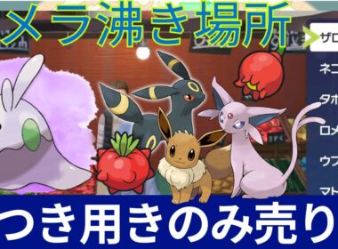 【#ポケモンZA】MAPに表示されない店！イーブイのなつきに必要なきのみ売り場＆スパイス、ヌメラヌメルゴンの場所、おすすめメガカケラ回収【御三家色違い実況】ブラッキーエーフィ―