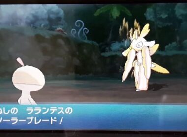 【ポケモン サン】ズルッグ単騎　VSぬしラランテス