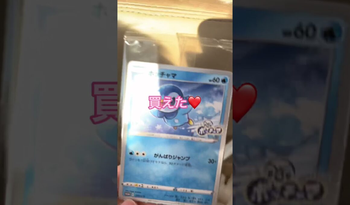 【ポケカ】こんチャンネル　ポッチャマ　ポケモン　ポケモンカード　プロモカード　pokémon