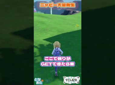 ニャビー大量発生【ポケモン】【バイオレット】【ゼロの秘宝】【となおとCh】 #ポケモン　#ゼロの秘宝　#ポケモンsv　#Shorts