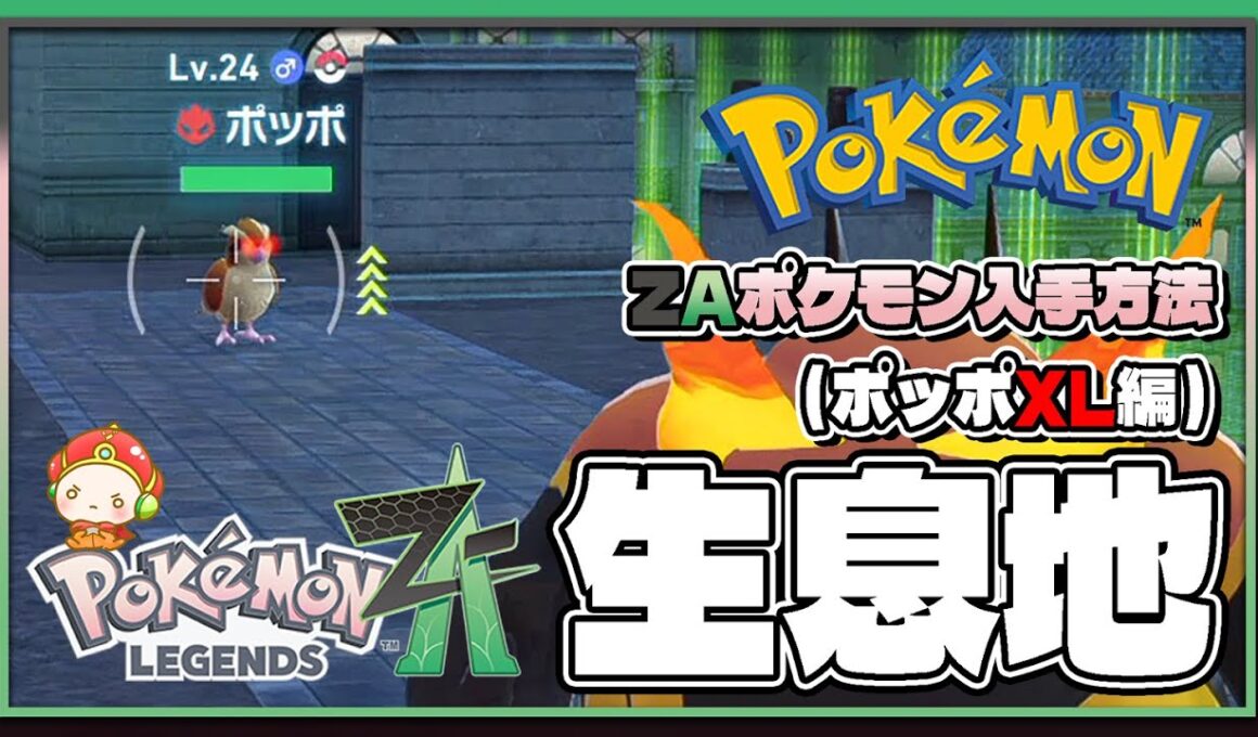 【ポケモンレジェンズZA攻略・生息地図鑑No.021】ポッポXL生息地（Pidgey）