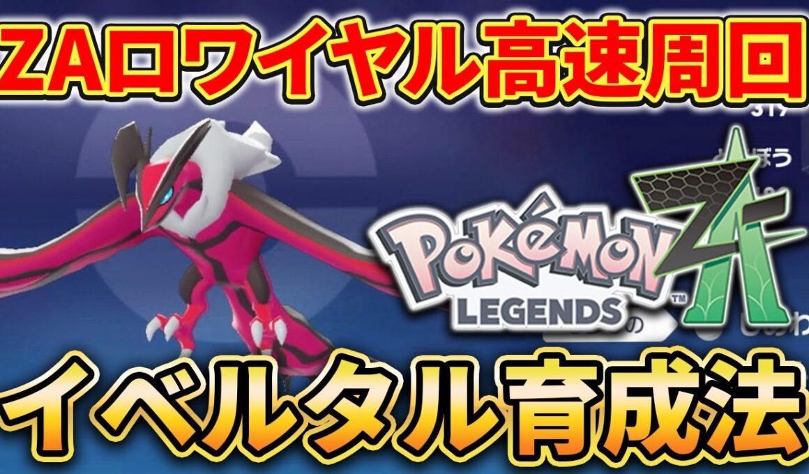 【ポケモンZA】”ZAロワイヤル”を高速周回！クリア後すぐ使えるイベルタルの育成方法を紹介します。【レジェンズZA】