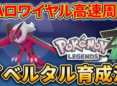 【ポケモンZA】”ZAロワイヤル”を高速周回！クリア後すぐ使えるイベルタルの育成方法を紹介します。【レジェンズZA】
