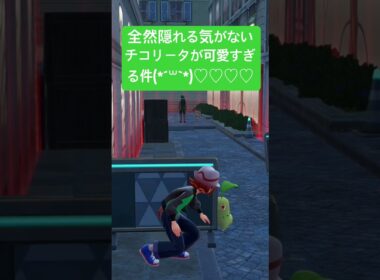 【ポケモンZA】チコリータが全然隠れる気なくて可愛すぎる件。※ネタバレ注意