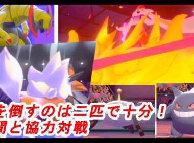 【ポケモン剣盾】ルガルガン(たそがれのすがた)が入ればエースバーンも怖くない！！