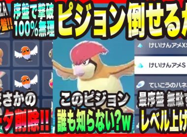 【ポケモンZA】最序盤で100%撃破が無理なピジョンを倒せるのか!?・無駄すぎるレベル上げ方法伝授!!【Pokémon LEGENDS Z-A 考察・攻略・実況】