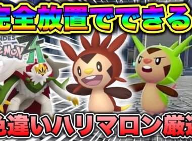 【ポケモンZA】完全放置でできる！色違いハリマロン厳選方法！