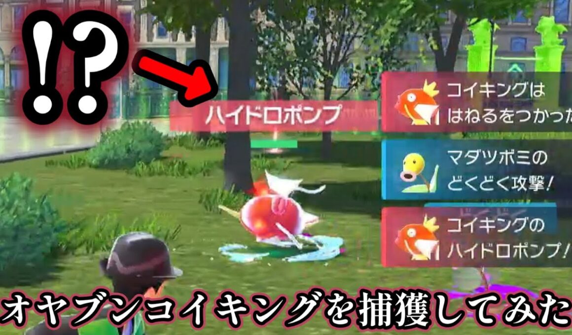 【ポケモンZA】ハイドロポンプ持ちのオヤブンコイキングを捕まえてみた【ポケモンレジェンズZA】