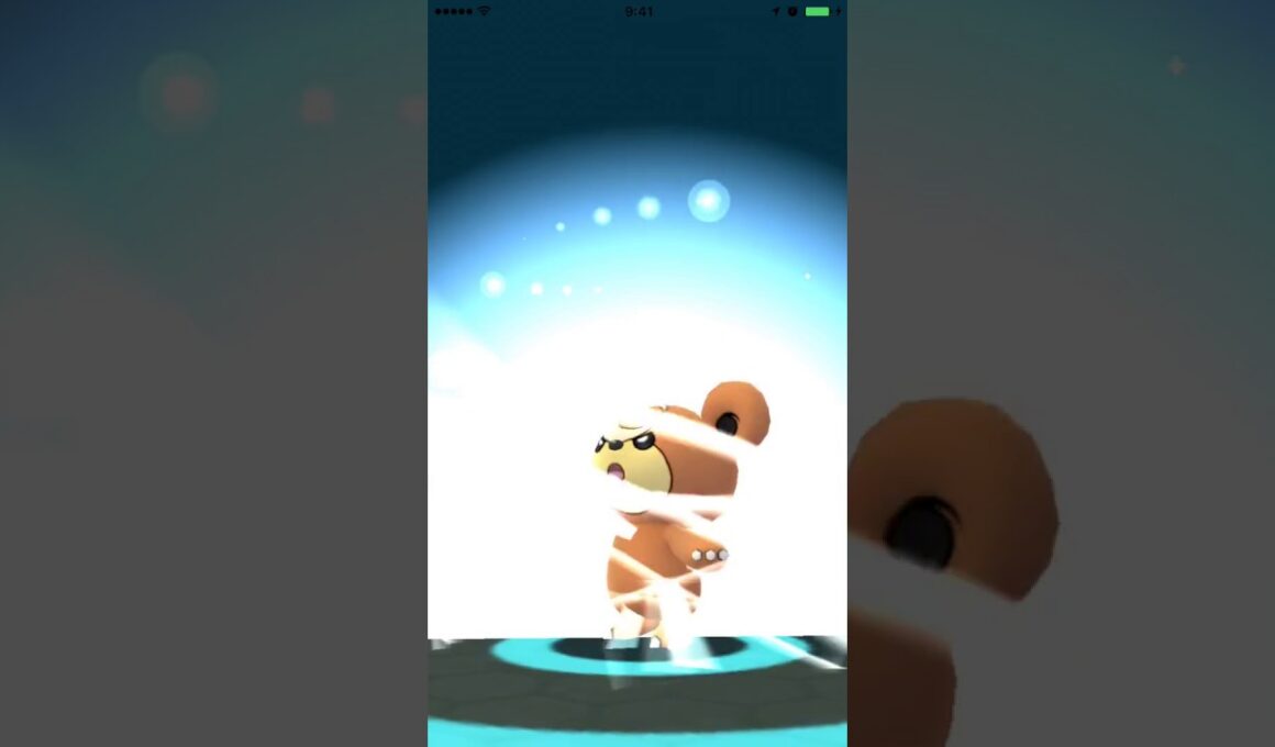 ポケモンGO　216-217　ヒメグマからリングマへの進化。 Pokémon Go Teddiursa evolution.