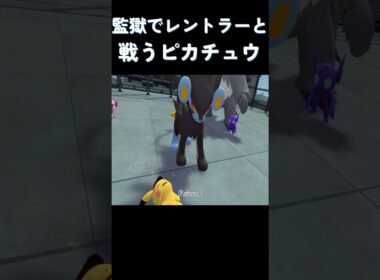 捨てられた監獄でレントラーと戦うピカチュウ #ポケモン
