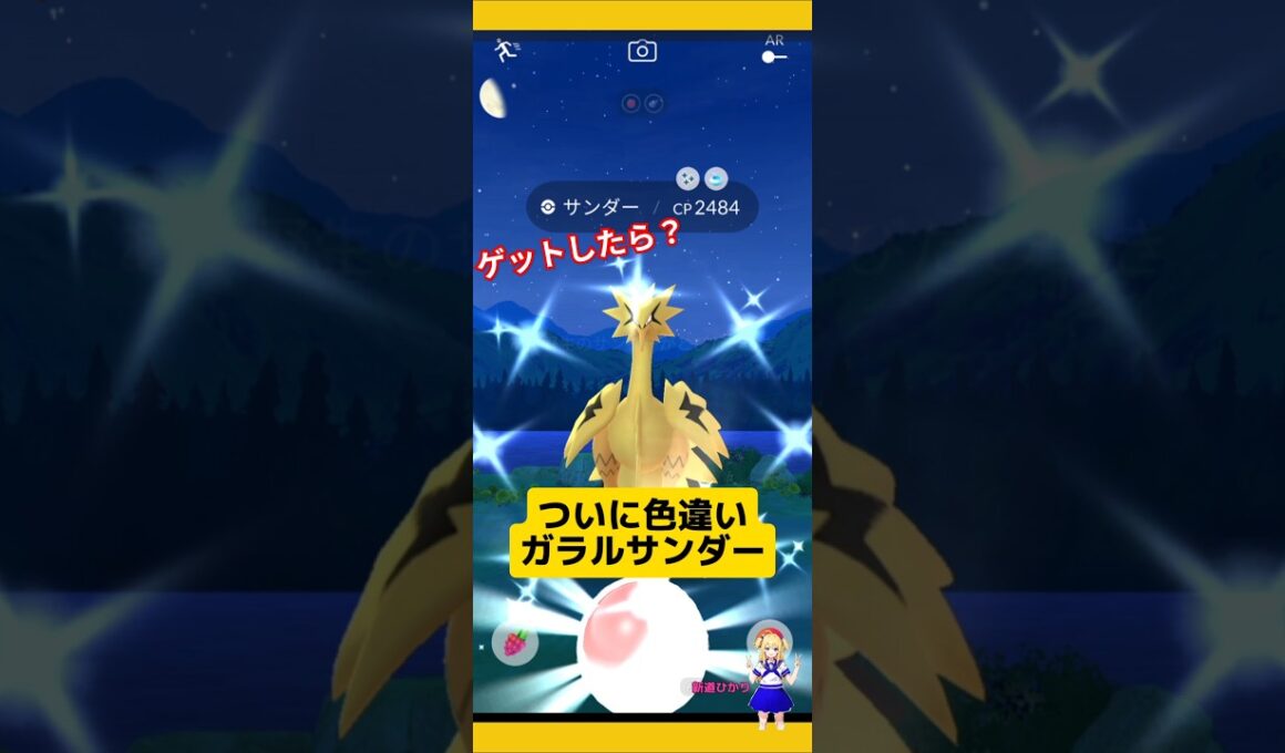 色違いガラルサンダー発見！CP2484捕まえた結果は？#ポケモンgo #ガラルサンダー #ガラル三鳥 #色違い #おさんぽおこう #サンダー #pokemongo #新道ひかり