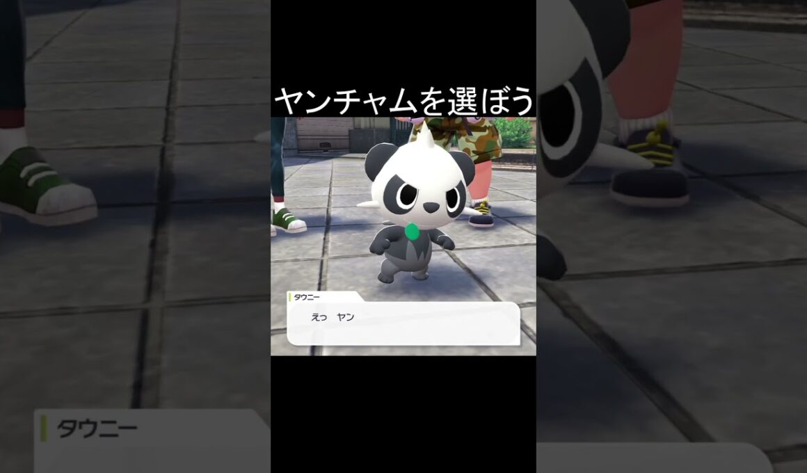 #shorts  Pokémon LEGENDS Z-A 小ネタ ヤンチャムを選ぼう #ゲーム  #ゲーム実況   #ポケモン