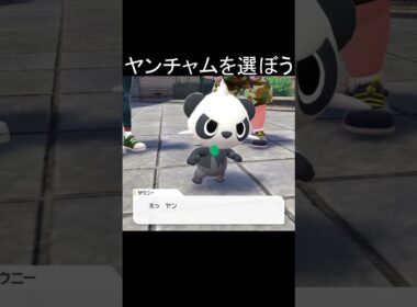 #shorts  Pokémon LEGENDS Z-A 小ネタ ヤンチャムを選ぼう #ゲーム  #ゲーム実況   #ポケモン