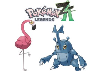 ヘラクロス(ZAのすがた)が心の底から好きな人達の反応集【ボワ様】【救済措置】【ポケモン】【legends】【ポケットモンスター】